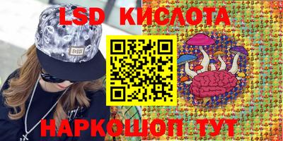 2c-b Кингисепп