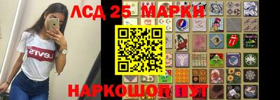 2c-b Кингисепп