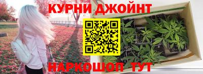 2c-b Кингисепп