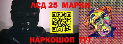 шишки Кинель