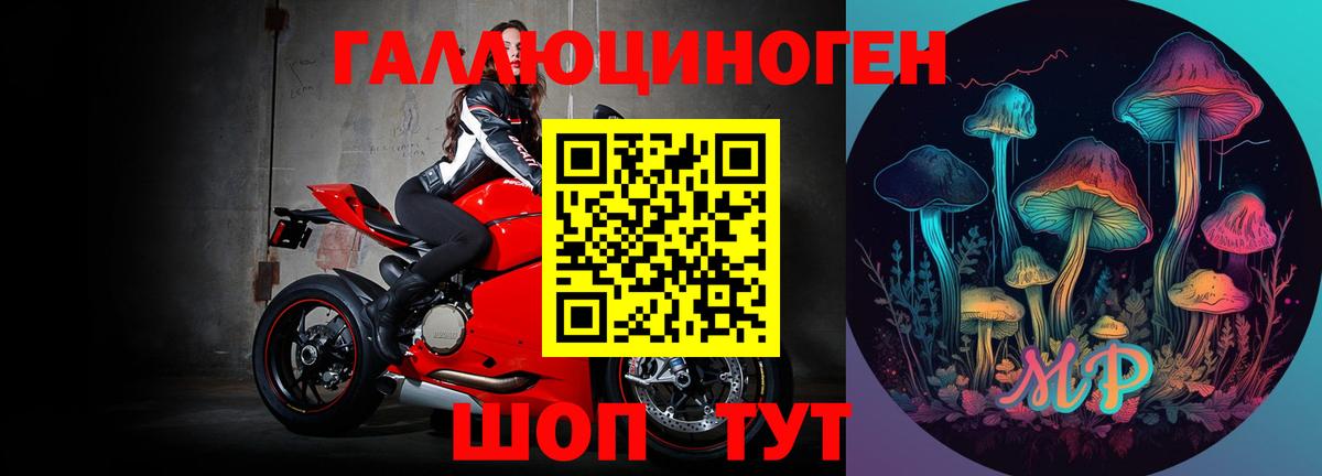 Галлюциногенные грибы мицелий  Вход с VPN  Киселёвск 